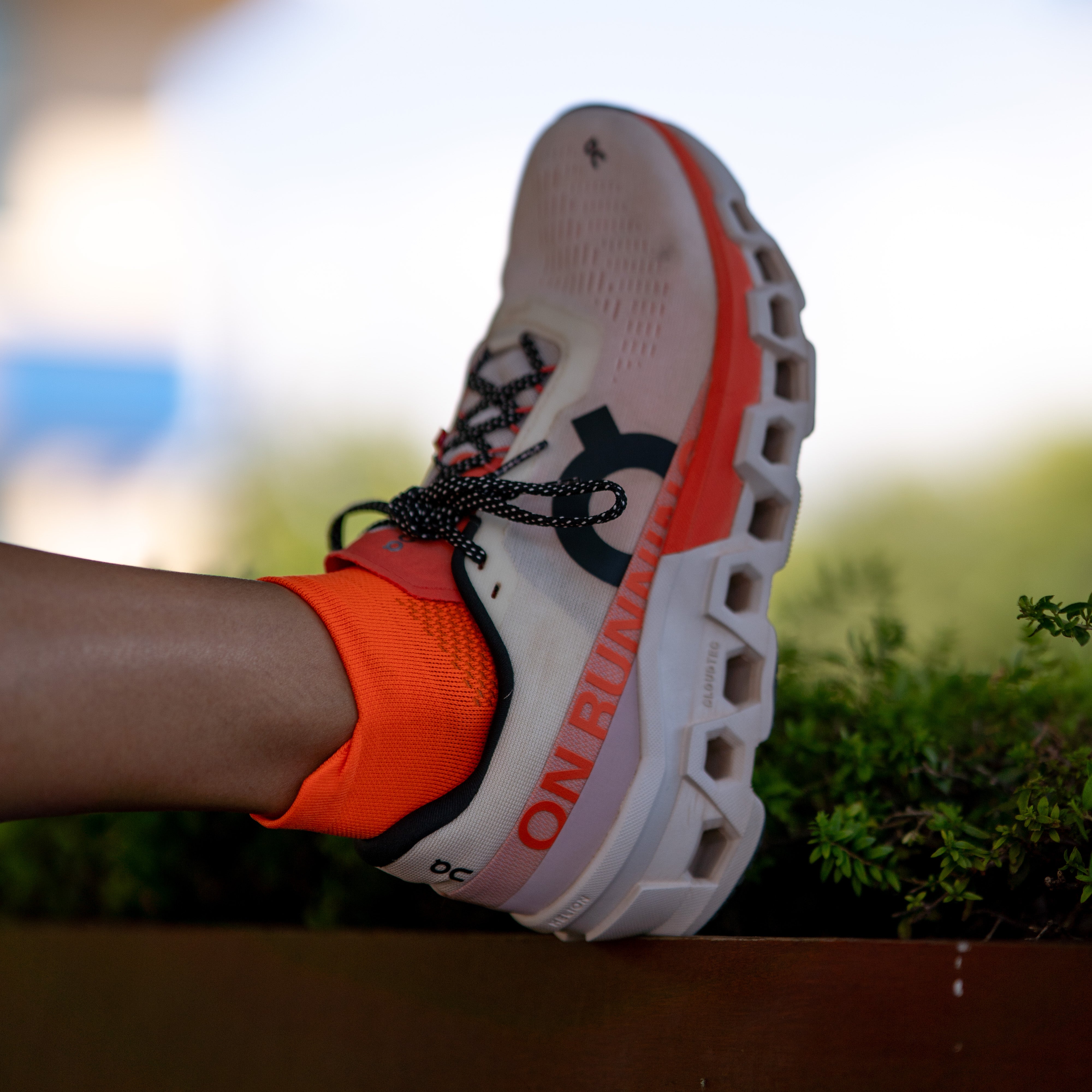 NOOSA ORANGE V2 - CALCETÍN RUNNING